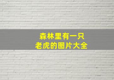 森林里有一只老虎的图片大全