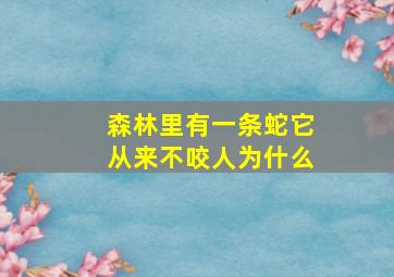 森林里有一条蛇它从来不咬人为什么