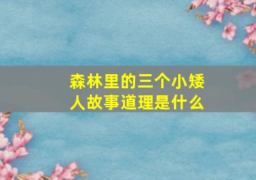 森林里的三个小矮人故事道理是什么