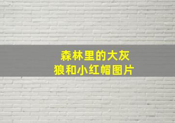 森林里的大灰狼和小红帽图片