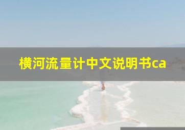 横河流量计中文说明书ca