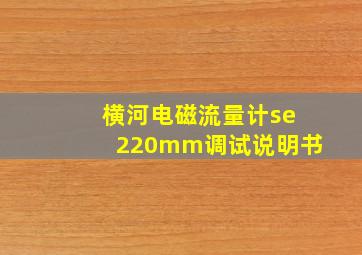 横河电磁流量计se220mm调试说明书