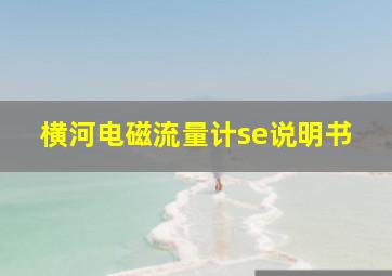 横河电磁流量计se说明书