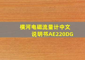 横河电磁流量计中文说明书AE220DG