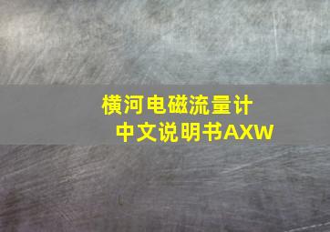 横河电磁流量计中文说明书AXW