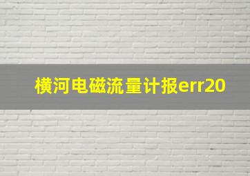 横河电磁流量计报err20