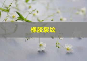 橡胶裂纹