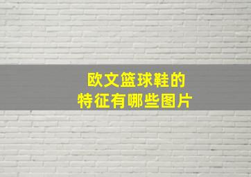 欧文篮球鞋的特征有哪些图片