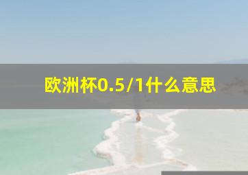 欧洲杯0.5/1什么意思