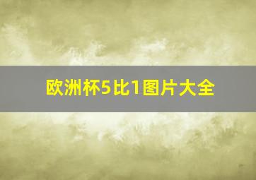 欧洲杯5比1图片大全