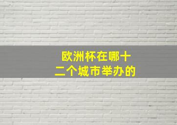 欧洲杯在哪十二个城市举办的