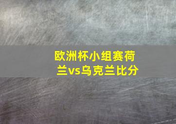 欧洲杯小组赛荷兰vs乌克兰比分