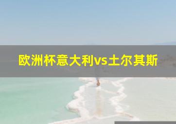 欧洲杯意大利vs土尔其斯