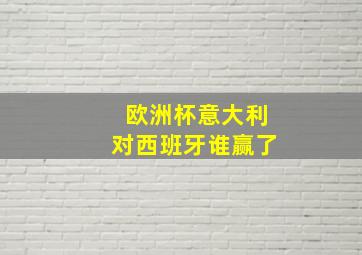 欧洲杯意大利对西班牙谁赢了