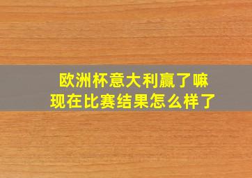 欧洲杯意大利赢了嘛现在比赛结果怎么样了