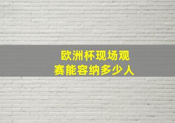 欧洲杯现场观赛能容纳多少人