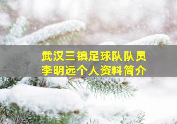 武汉三镇足球队队员李明远个人资料简介