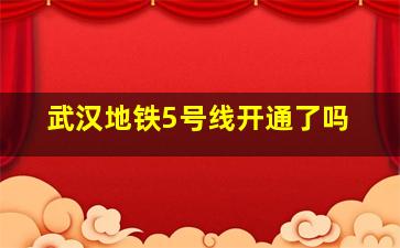 武汉地铁5号线开通了吗