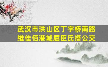 武汉市洪山区丁字桥南路维佳佰港城屈臣氏搭公交