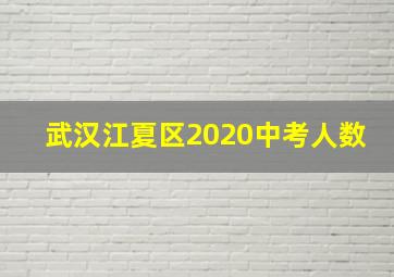 武汉江夏区2020中考人数