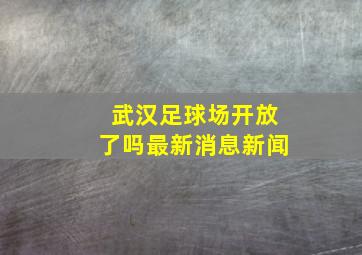 武汉足球场开放了吗最新消息新闻