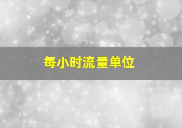 每小时流量单位