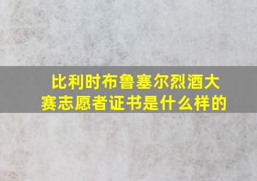 比利时布鲁塞尔烈酒大赛志愿者证书是什么样的