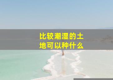 比较潮湿的土地可以种什么