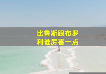 比鲁斯跟布罗利谁厉害一点