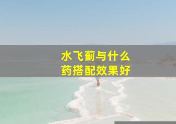 水飞蓟与什么药搭配效果好