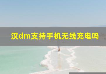 汉dm支持手机无线充电吗