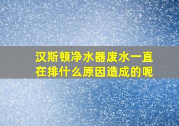 汉斯顿净水器废水一直在排什么原因造成的呢