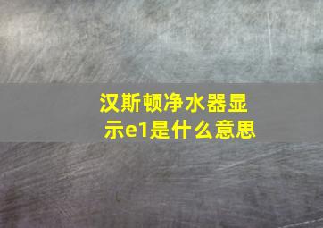 汉斯顿净水器显示e1是什么意思