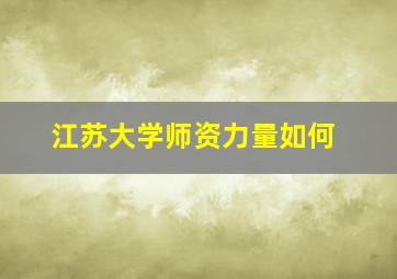 江苏大学师资力量如何