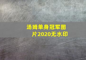 汤姆单身冠军图片2020无水印