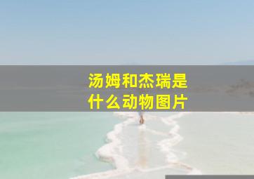 汤姆和杰瑞是什么动物图片