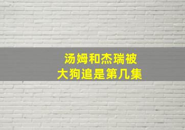 汤姆和杰瑞被大狗追是第几集