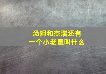 汤姆和杰瑞还有一个小老鼠叫什么