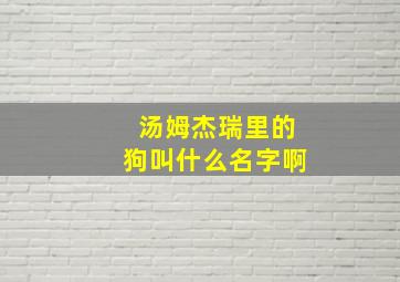 汤姆杰瑞里的狗叫什么名字啊