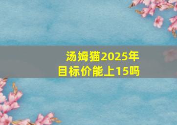 汤姆猫2025年目标价能上15吗