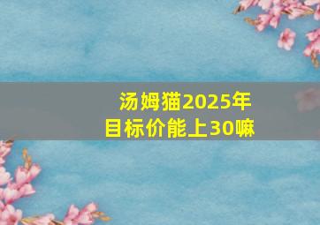 汤姆猫2025年目标价能上30嘛