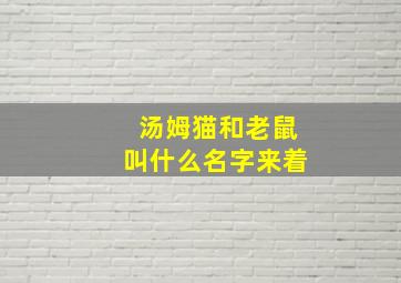 汤姆猫和老鼠叫什么名字来着