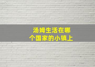 汤姆生活在哪个国家的小镇上