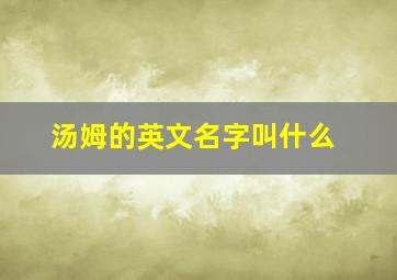 汤姆的英文名字叫什么