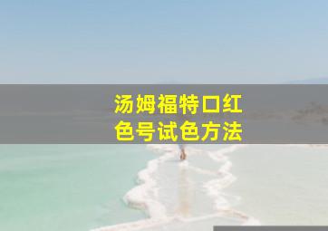 汤姆福特口红色号试色方法