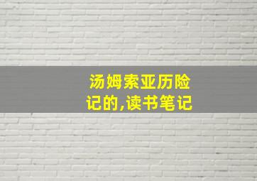 汤姆索亚历险记的,读书笔记