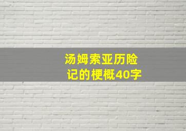 汤姆索亚历险记的梗概40字