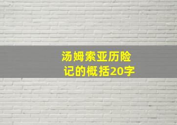 汤姆索亚历险记的概括20字