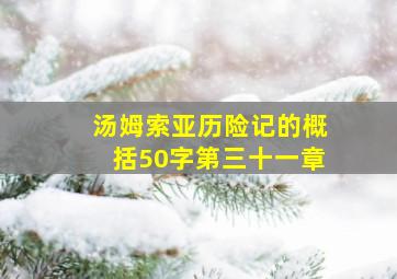 汤姆索亚历险记的概括50字第三十一章