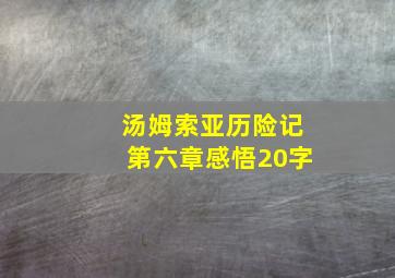 汤姆索亚历险记第六章感悟20字